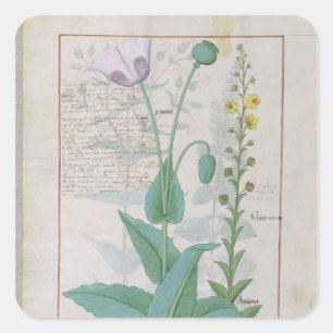Poppy and Figwort Square Sticker