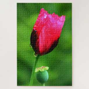 Poppy and Raindrops Jigsaw Puzzle