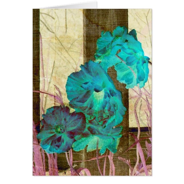 Poppy Beautiful (Front)