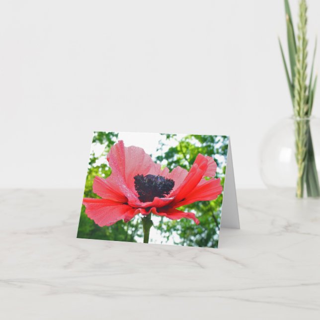Poppy Blank Notecard (Front)