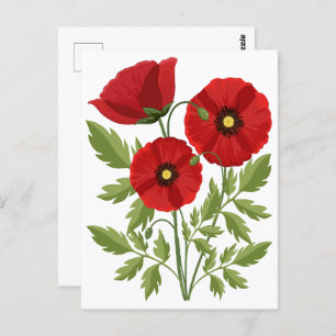 Poppy blooming joyful Summer Flowers Postcard