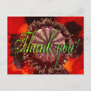Poppy Blossom - Thank You Postcard