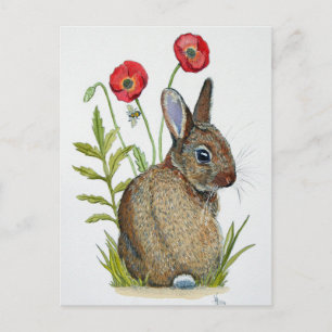 'Poppy Bunny' Postcard
