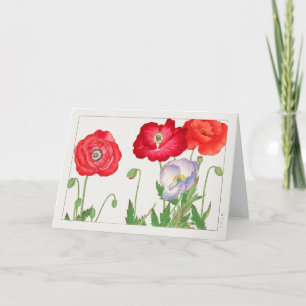 Poppy by Tanigami Konan Card