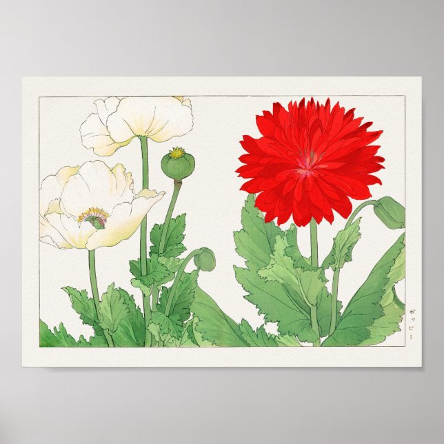 Poppy by Tanigami Konan Poster (Front)