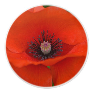 Poppy Ceramic Knob