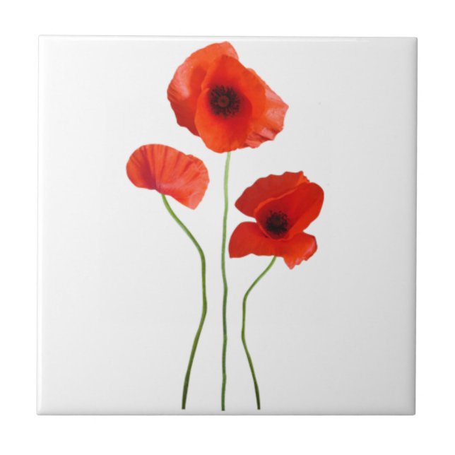 poppy ceramic tile (Front)