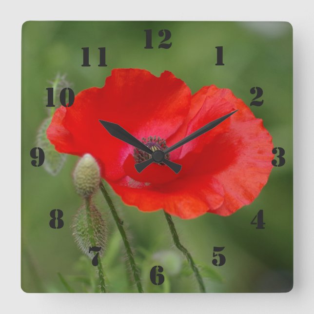 Poppy Clock (Front)