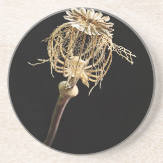 Poppy Coaster