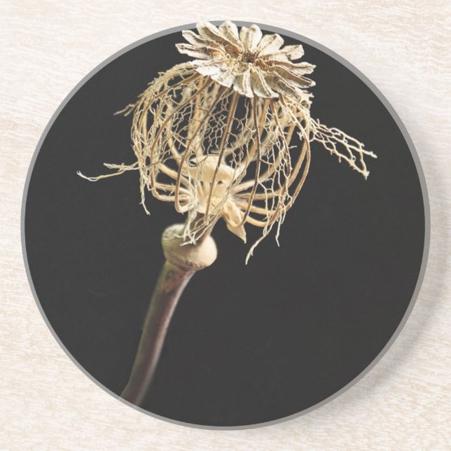 Poppy Coaster (Front)