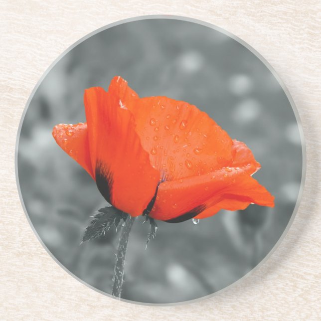 Poppy Coaster (Front)