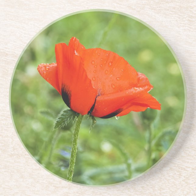 Poppy Coaster (Front)