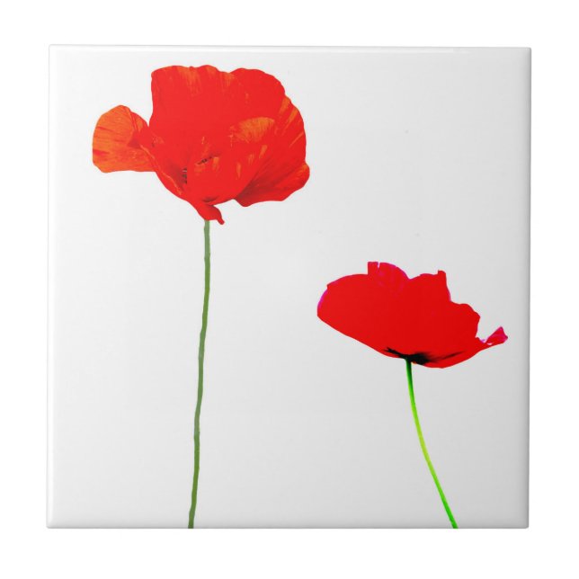 POPPY Collection 03 Tile (Front)