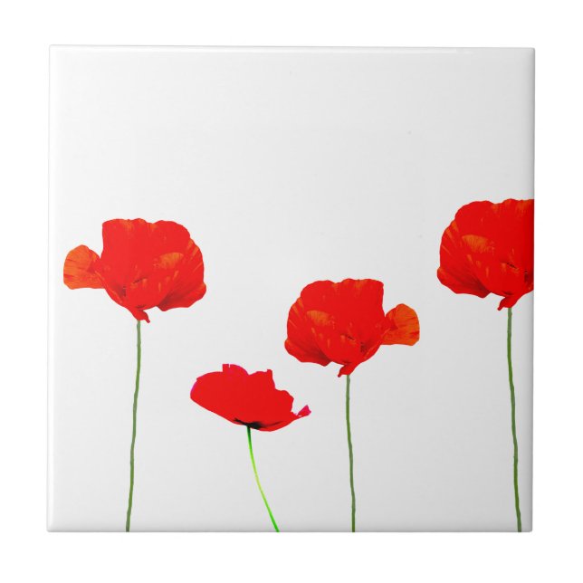 POPPY Collection 04 Tile (Front)