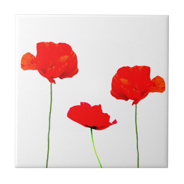 POPPY Collection 05 Tile (Front)