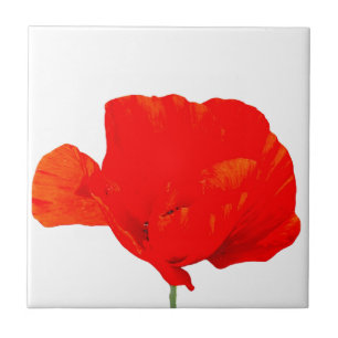 POPPY Collection 06 Tile