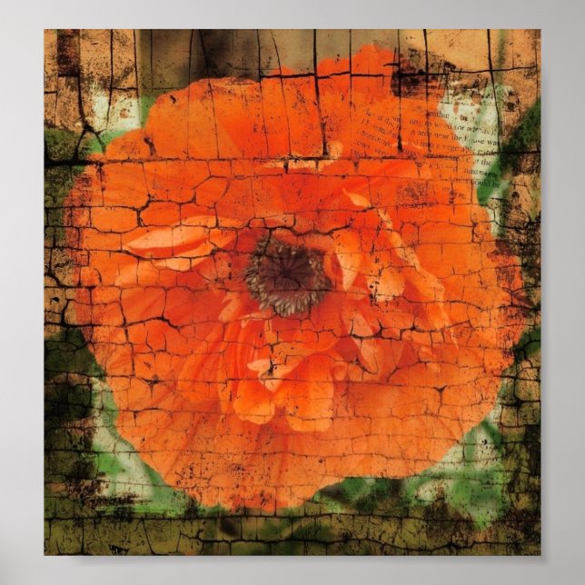 Poppy Crackle Poster (Front)