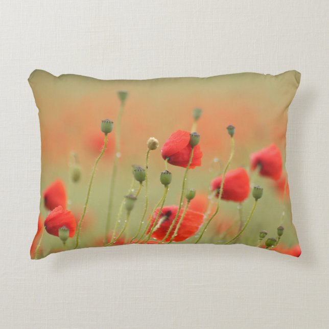 poppy decorative cushion (Front)