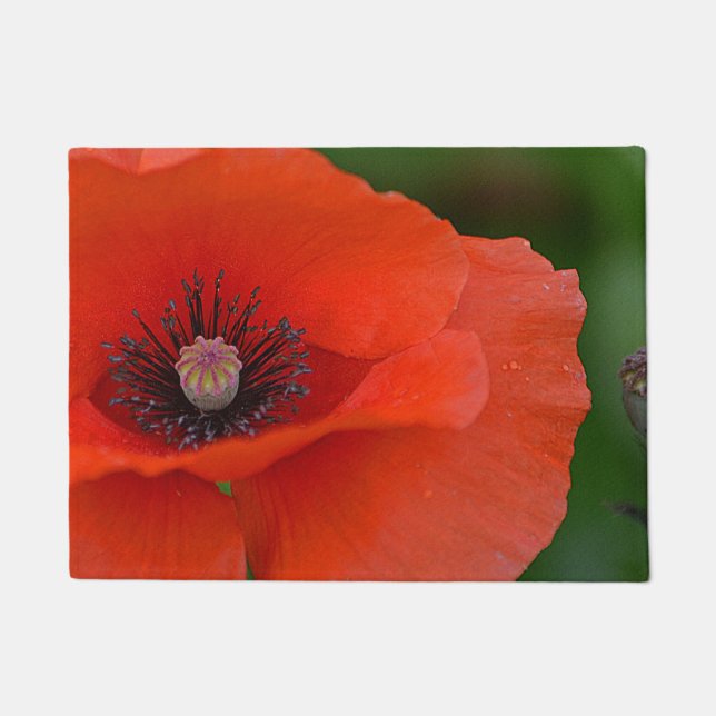 Poppy Door Mat (Front)