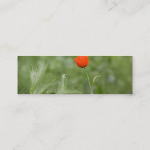 Poppy DSC2632 Mini Business Card