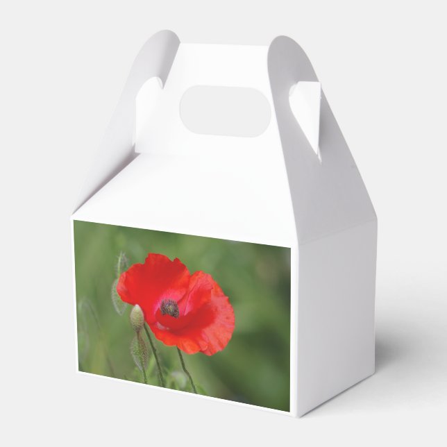 Poppy Favour Box (Front Side)