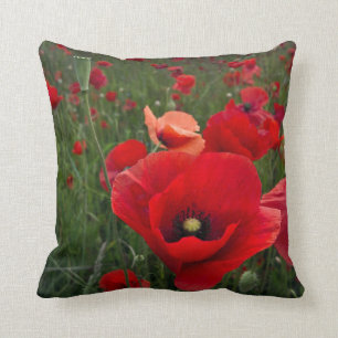 Poppy Field American Mojo Pillow/Case Cushion