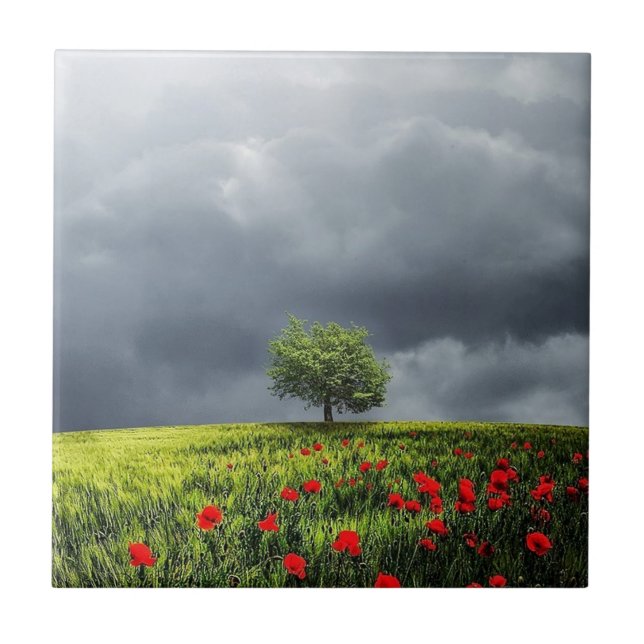 Poppy Field and Cloudy Sky Ceramic Tile (Front)