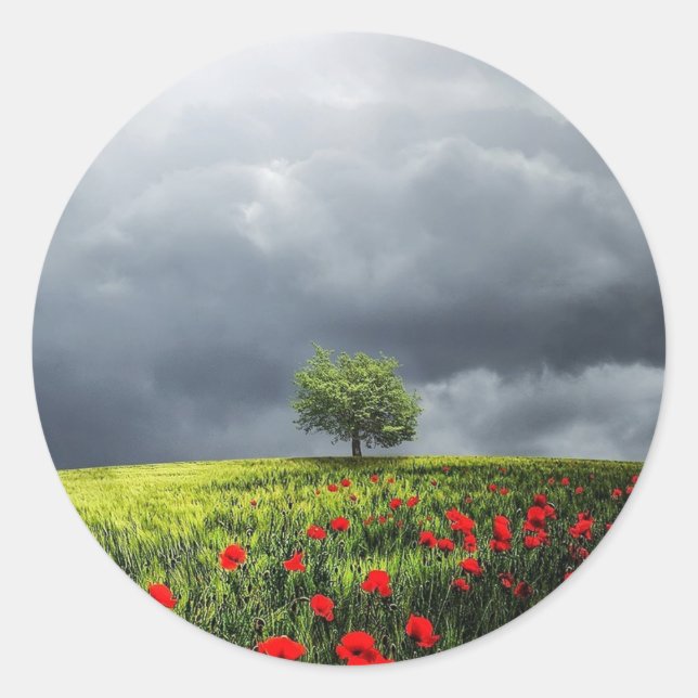 Poppy Field and Cloudy Sky Classic Round Sticker (Front)