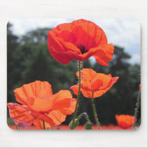 Poppy Field, beautiful blooms, Mouse Pad