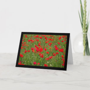 Poppy Field Card