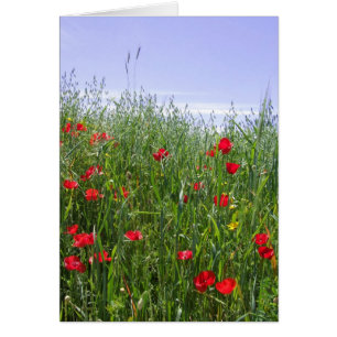 Poppy Field Card