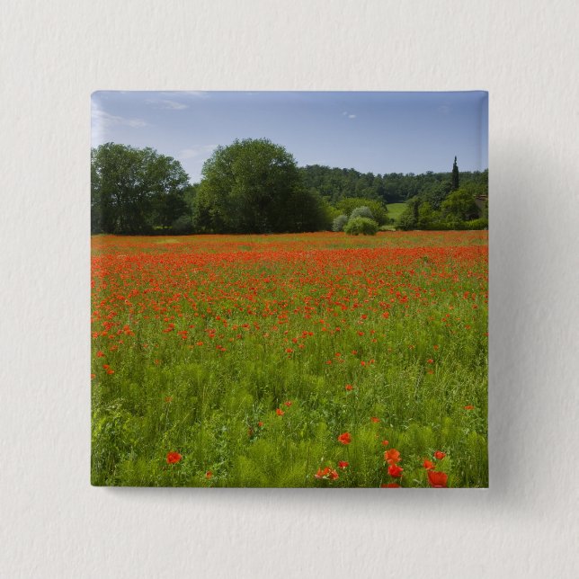 Poppy field, Chiusi, Italy 15 Cm Square Badge (Front)