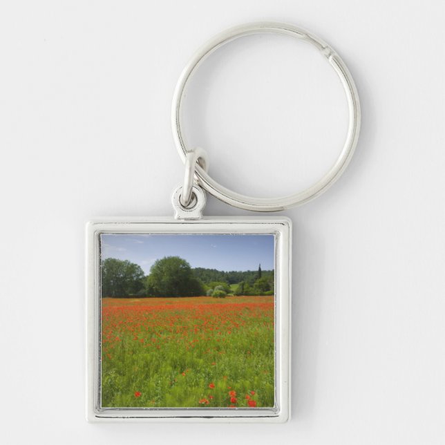 Poppy field, Chiusi, Italy Key Ring (Front)