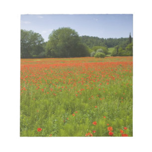 Poppy field, Chiusi, Italy Notepad
