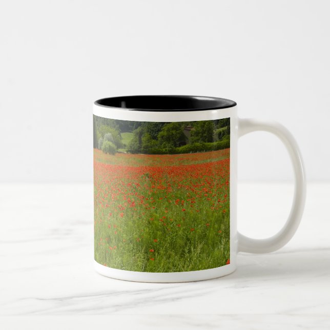 Poppy field, Chiusi, Italy Two-Tone Coffee Mug (Right)