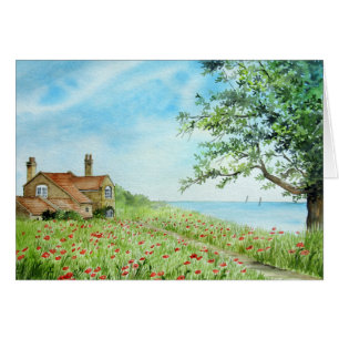 Poppy Field, Coastal Landscape