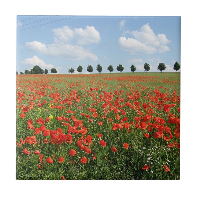 Poppy Field in Bloom Ceramic Tile (Front)