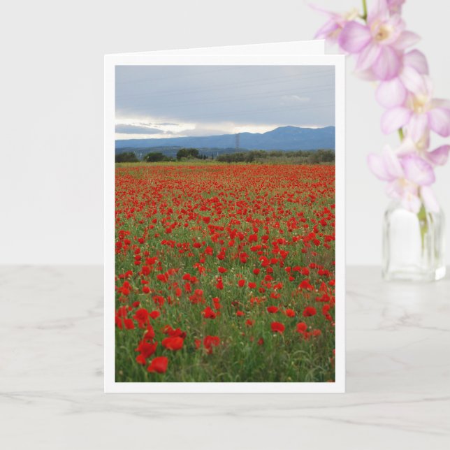 Poppy Field Landscape Card (Orchid)