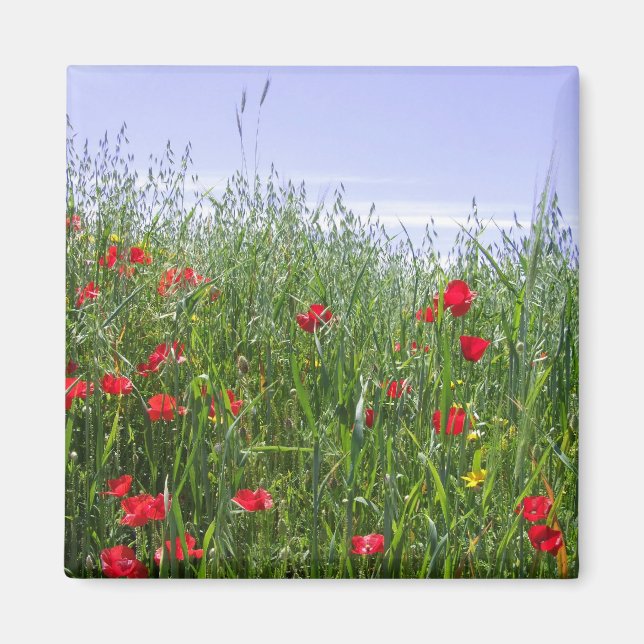 Poppy Field Magnet (Front)