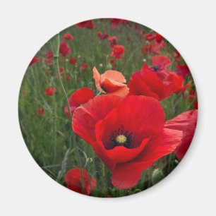 Poppy Field Magnet