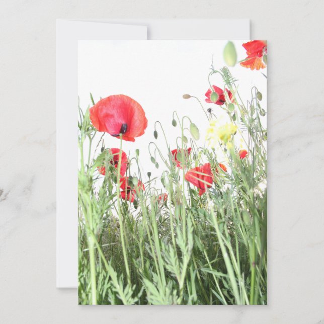  Poppy field Nature blooms flowers Invitation (Front)