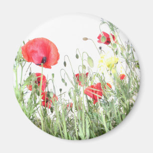 Poppy field Nature blooms flowers Magnet