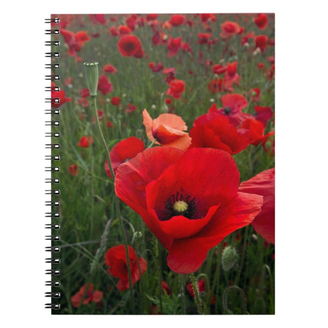 Poppy Field Notebook (Front)