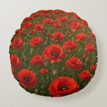 Poppy Field  