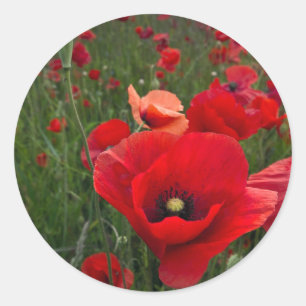 Poppy Field Stickers