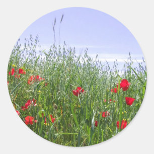 Poppy Field Stickers