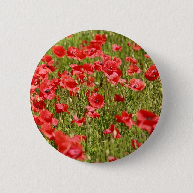 Poppy field - Stunning! 6 Cm Round Badge (Front)