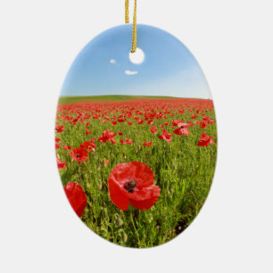Poppy field - Stunning! Ceramic Ornament