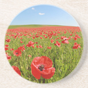 Poppy field - Stunning! Coaster