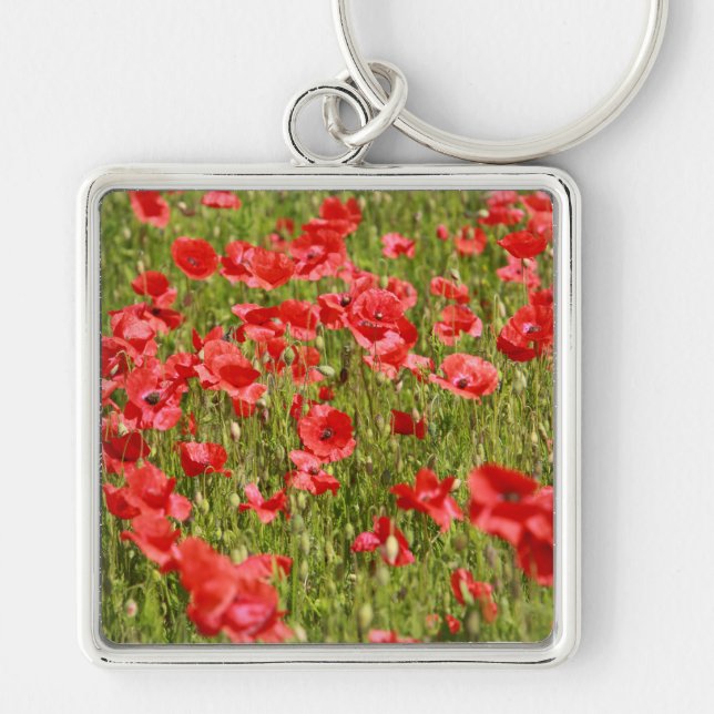 Poppy field - Stunning! Key Ring (Front)